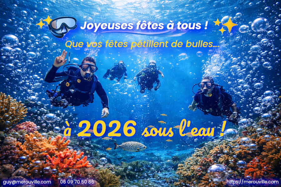 Bonne Année 2026