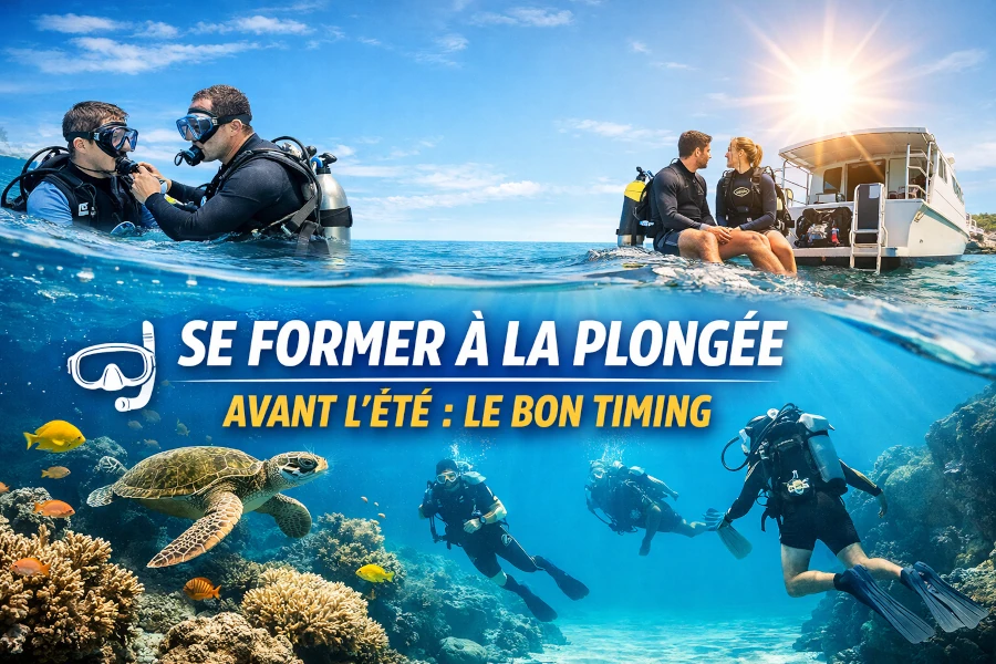 Se former à la plongée avant l'été